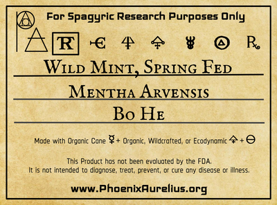 Wild Mint, Spring Fed, Spagyric Tincture