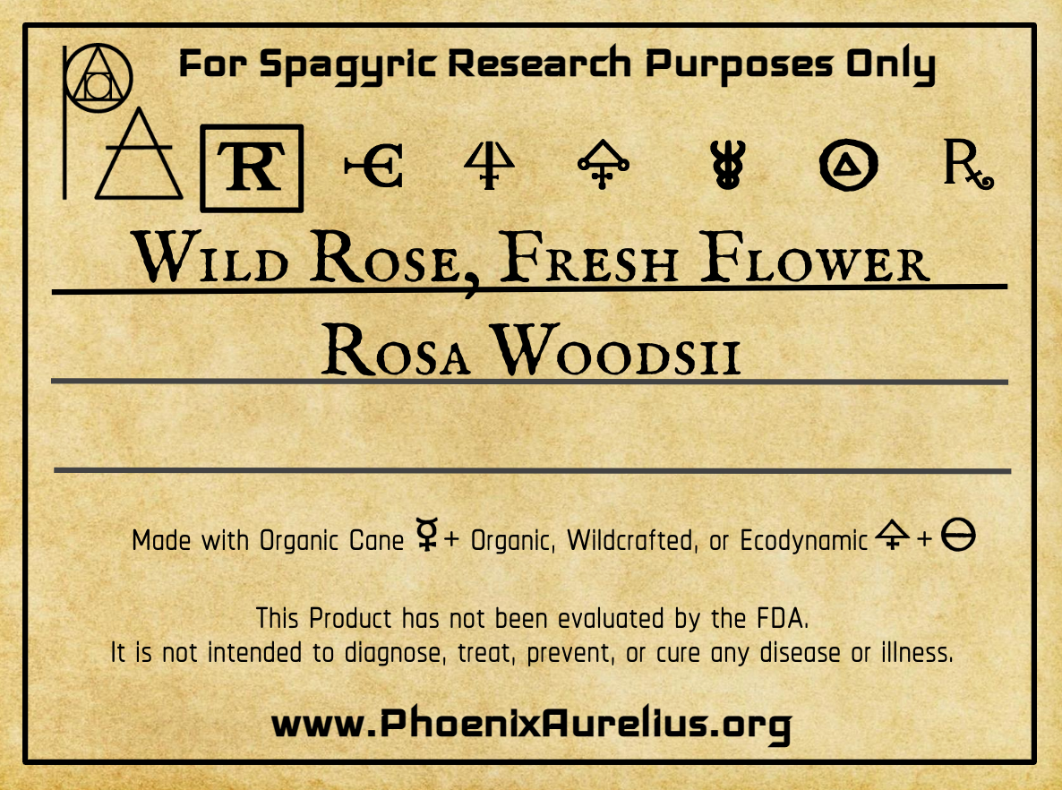 Wild Rose, Fresh Flower, Spagyric Tincture