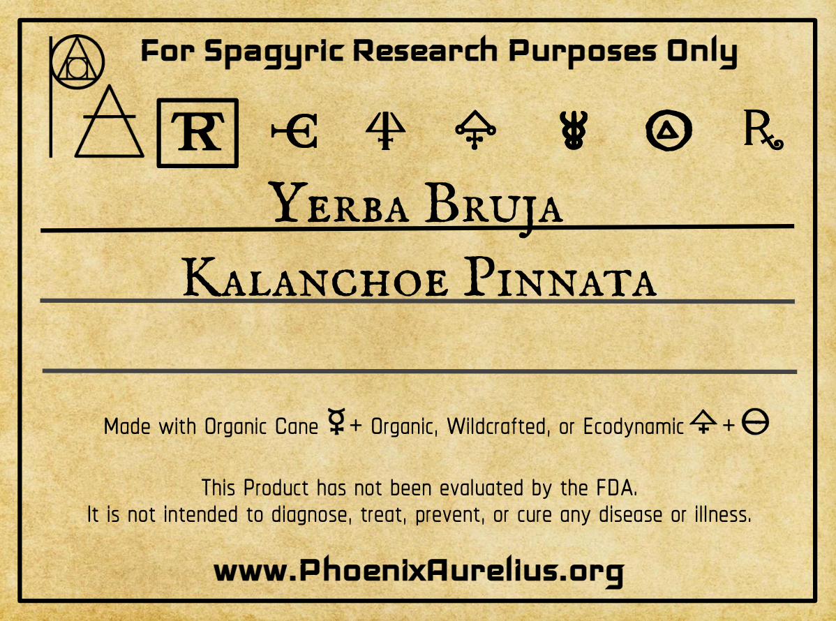 Yerba Bruja Spagyric Tincture