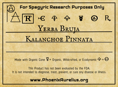 Yerba Bruja Spagyric Tincture