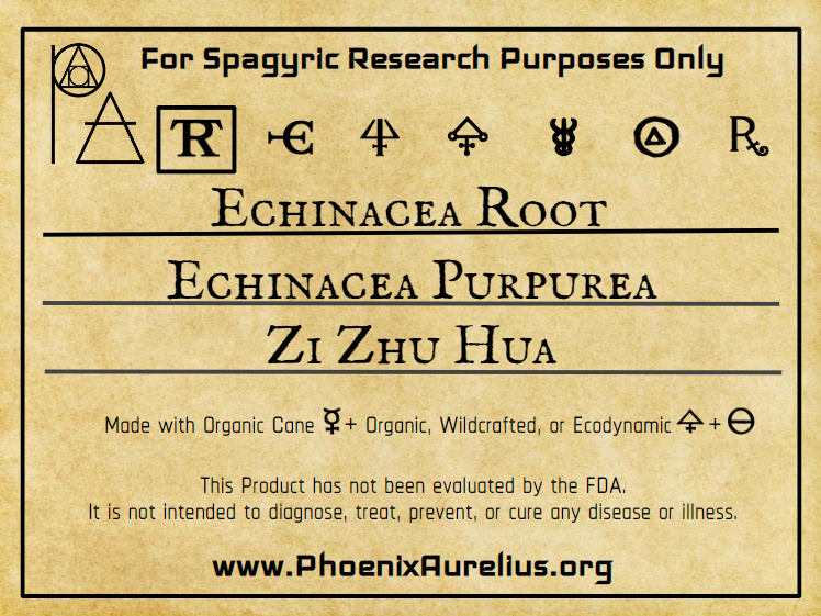 Echinacea Root Spagyric Tincture