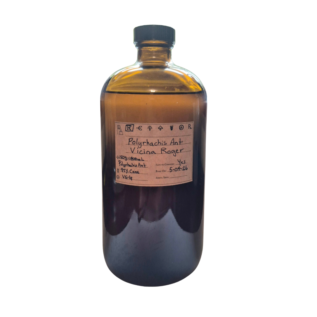 Polyrhachis Ant Spagyric Tincture