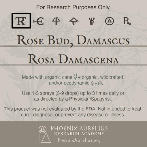 Rose Bud, Damascus, Spagyric Tincture