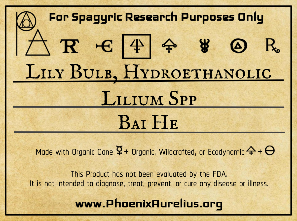 Lily Bulb Hydroethanolic Spagyric Tincture - Phoenix Aurelius Research Academy
