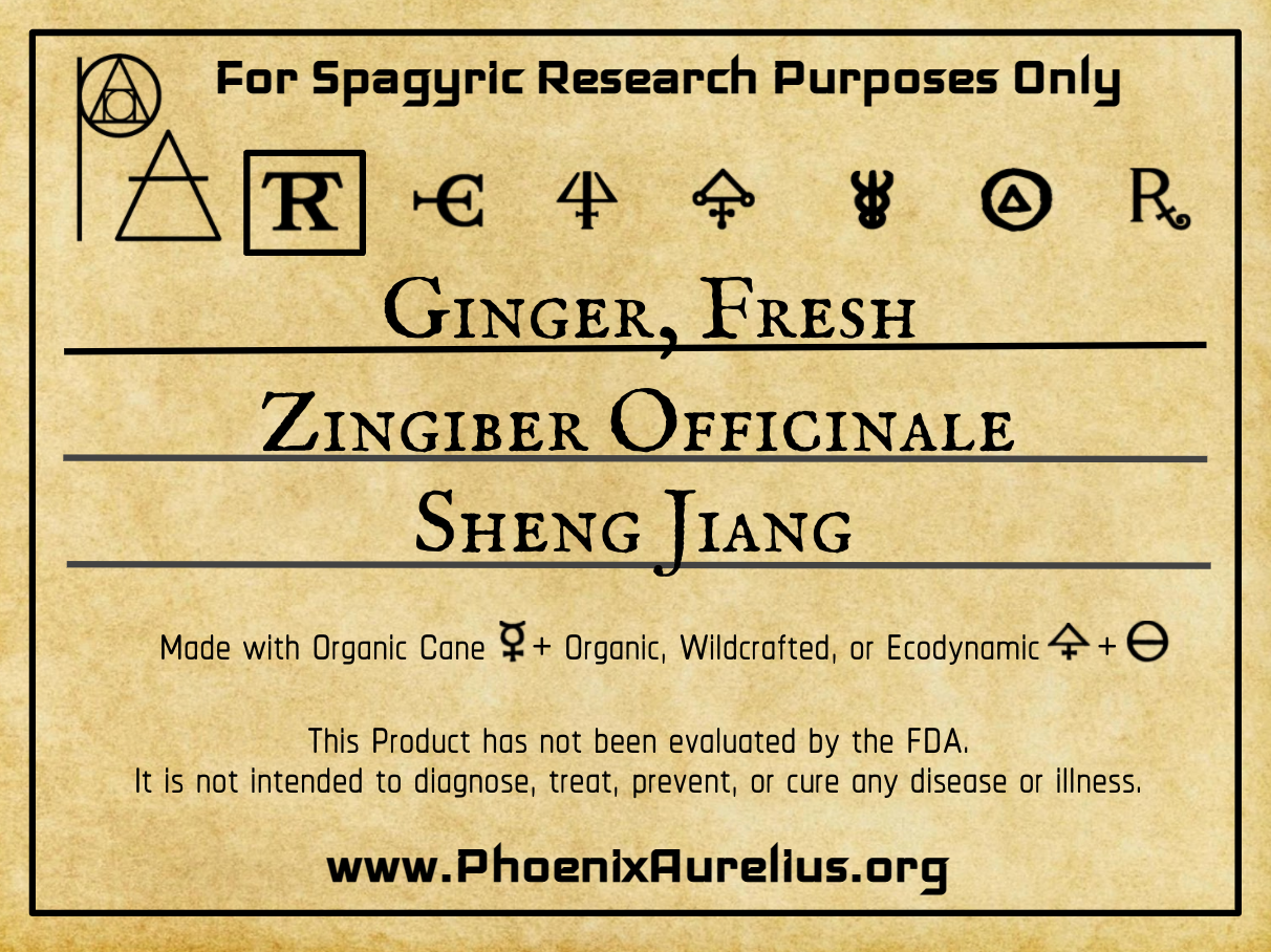 Ginger, Fresh Spagyric Tincture - Phoenix Aurelius Research Academy