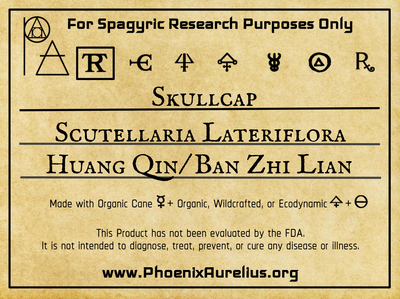 Skullcap Spagyric Tinture