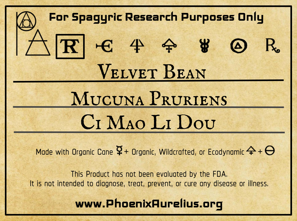 Velvet Bean Spagyric Tincture