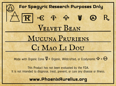 Velvet Bean Spagyric Tincture