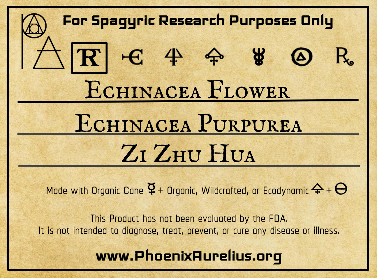 Echinacea Flower Spagyric Tincture - Phoenix Aurelius Research Academy