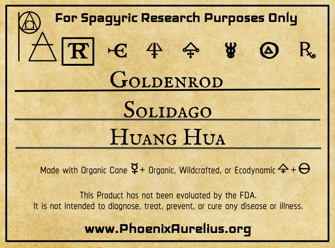 Goldenrod Spagyric Tincture - Phoenix Aurelius Research Academy
