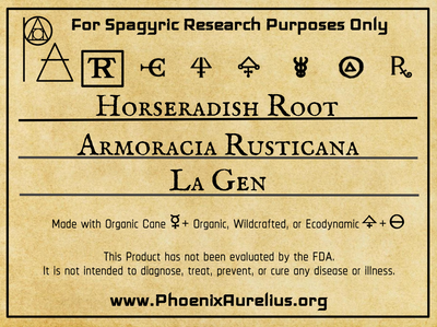 Horseradish Root Spagyric Tincture - Phoenix Aurelius Research Academy