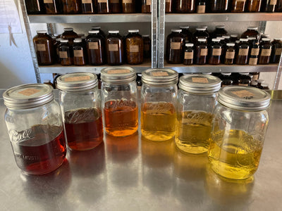 Making Professional Spagyric Tinctures and Extracts: A Hands-On Weekend Immersion