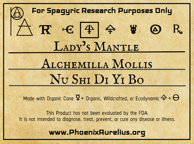 Lady's Mantle Spagyric Essence Per Destillatio - Phoenix Aurelius Research Academy