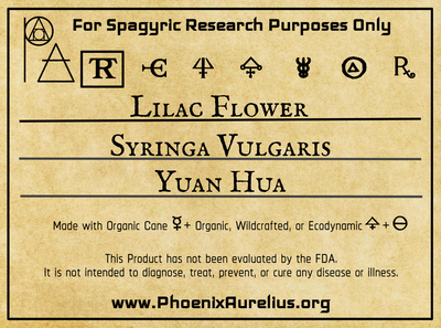 Lilac Flower Spagyric Tincture