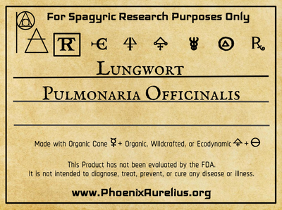 Lungwort Spagyric Tincture - Phoenix Aurelius Research Academy