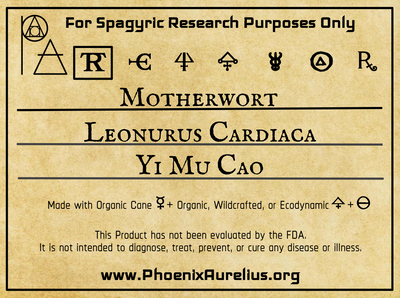 Motherwort Spagyric Tincture
