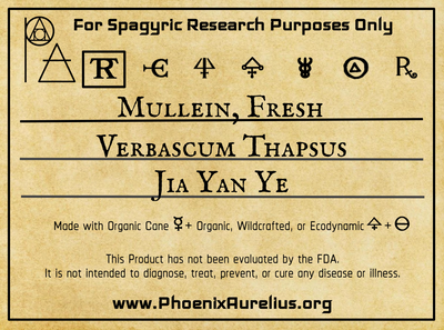 Mullein, Fresh Spagyric Tincture - Phoenix Aurelius Research Academy