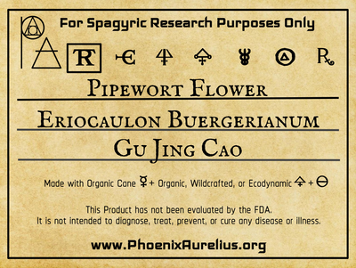 Pipewort Flower Spagyric Tincture (Clearance)