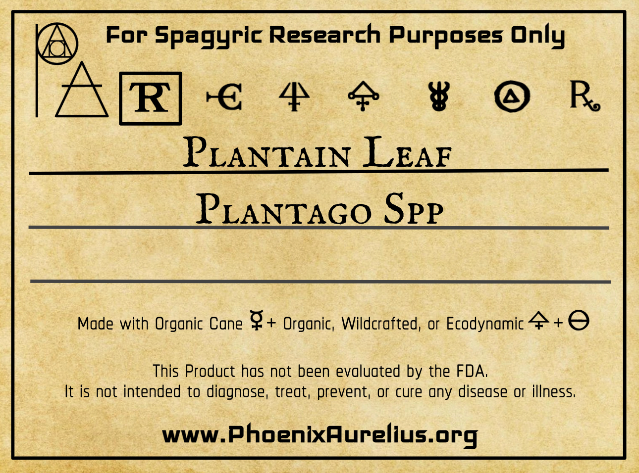 Plantain Leaf Spagyric Tincture