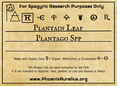 Plantain Leaf Spagyric Tincture