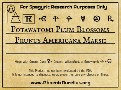 Potawatomi Plum Blossom Fresh Spagyric Tincture