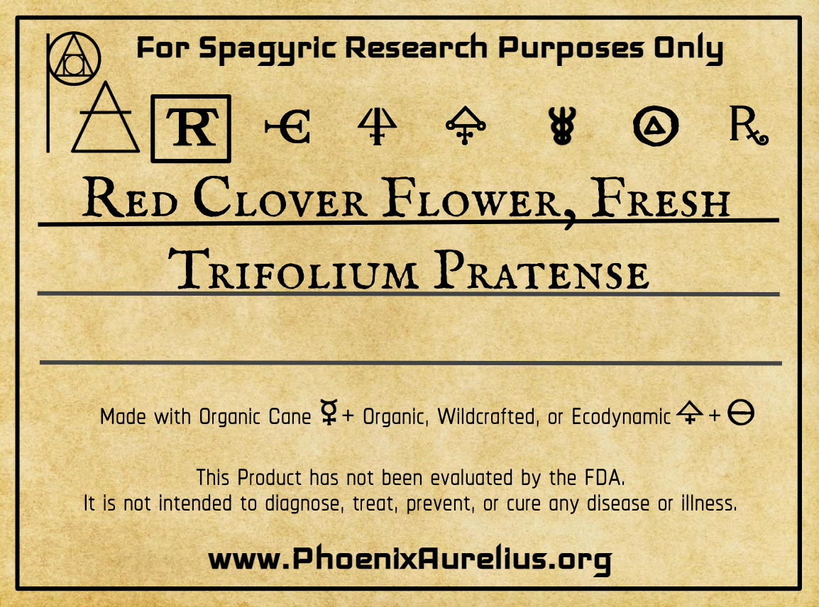 Red Clover Flower, Fresh, Spagyric Tincture