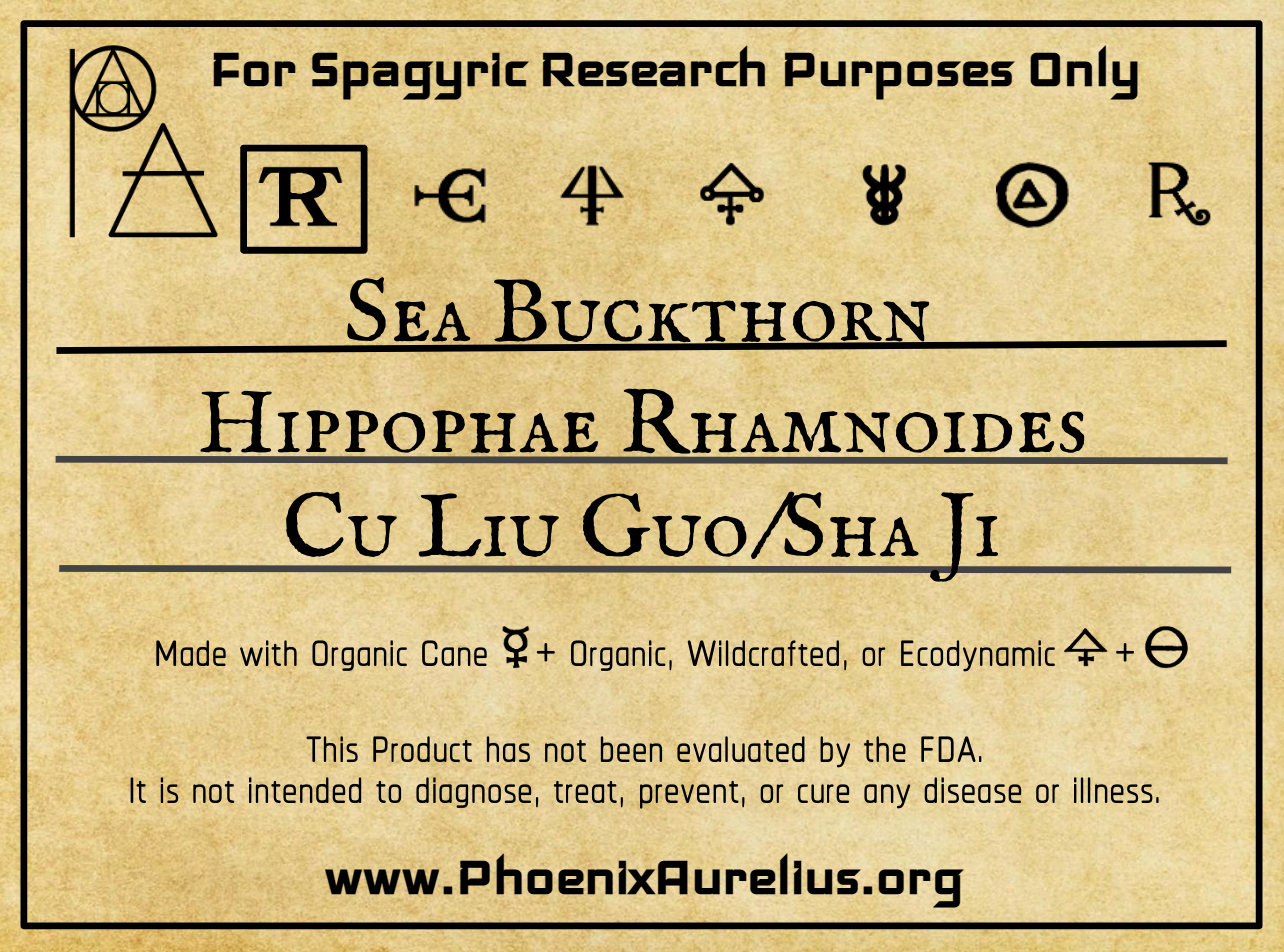 Sea Buckthorn Spagyric Tincture