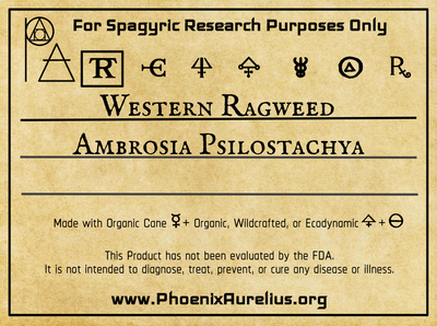 Western Ragweed Spagyric Tincture