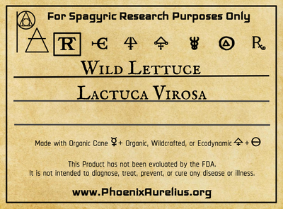 Wild Lettuce Spagyric Tincture