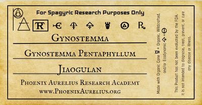 Gynostemma Spagyric Tincture